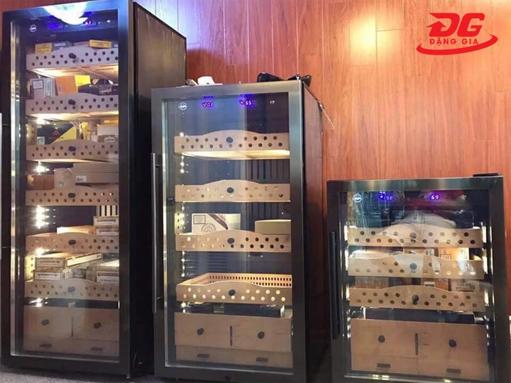 Đa dạng chủng loại, dễ sàng lọc/lựa chọn theo nhu cầu