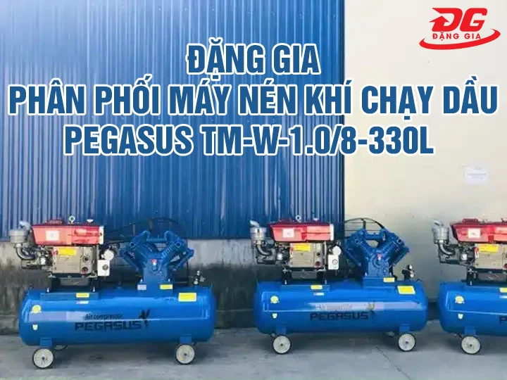 Bán máy nén khí chạy dầu Pegasus TM-W-1.0/8-330L