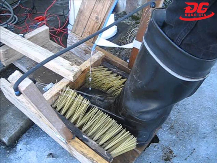 máy đánh giày tự chế rễ hỏng