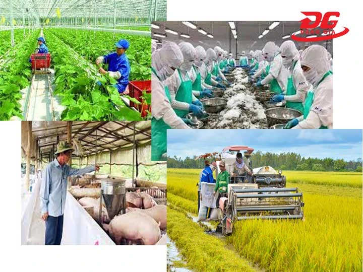 Nông nghiệp & Thủy sản