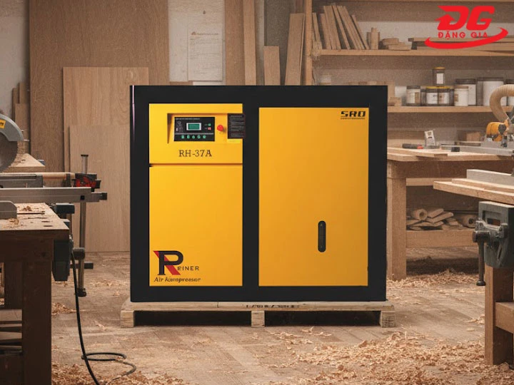 hình ảnh Máy nén khí Reiner Piston