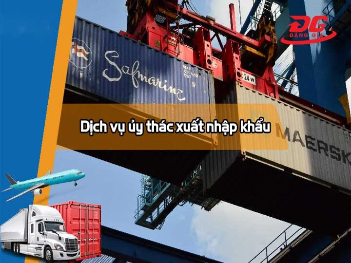 Ủy thác cho đơn vị logistics hoặc chuyên gia XNK hỗ trợ