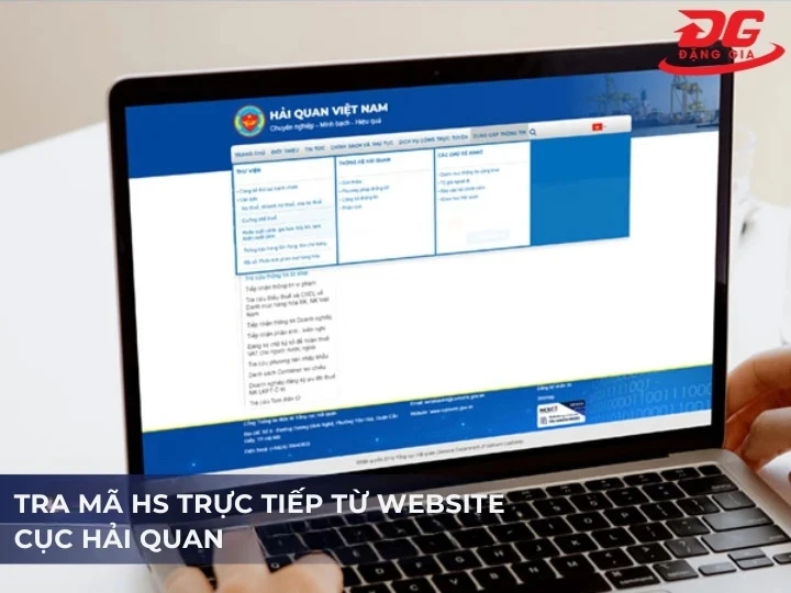 Xem mã HS trên nền tảng website Tổng cục Hải quan Việt Nam
