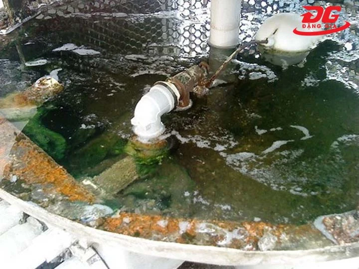 Tháp giải nhiệt bị rong rêu