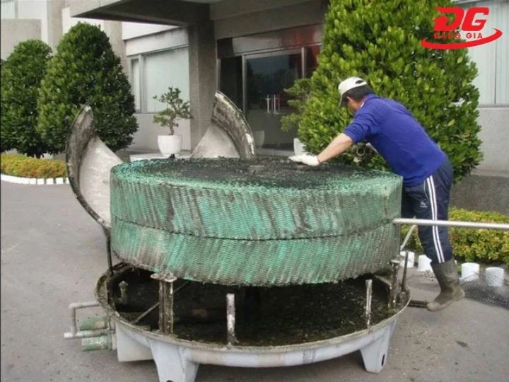 Tháp xuất hiện rong rêu làm giảm hiệu suất