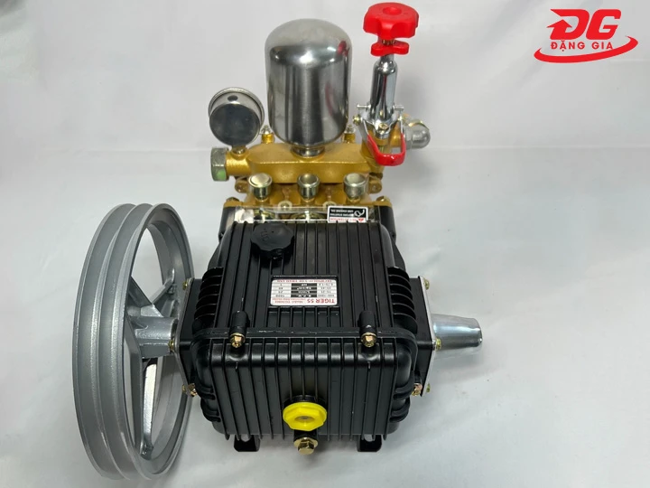 Máy rửa xe Tiger dây đai