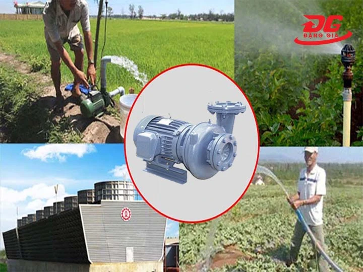 ứng dụng máy bơm nước ly tâm Teco HVP350-12.2 20 3HP