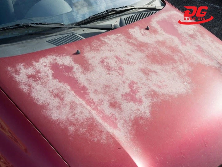 Làm hỏng sơn xe