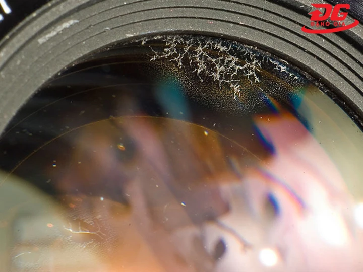 rễ bám ống kính