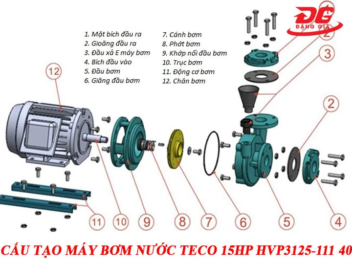 Khám phá cấu tạo máy bơm nước Teco 15HP HVP3125-111 40