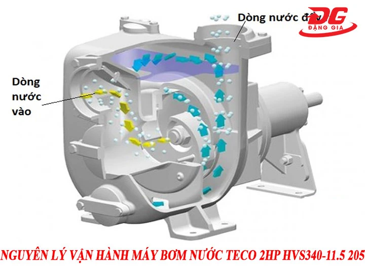 Nguyên lý vận hành máy bơm nước Teco 2HP HVS340-11.5 205