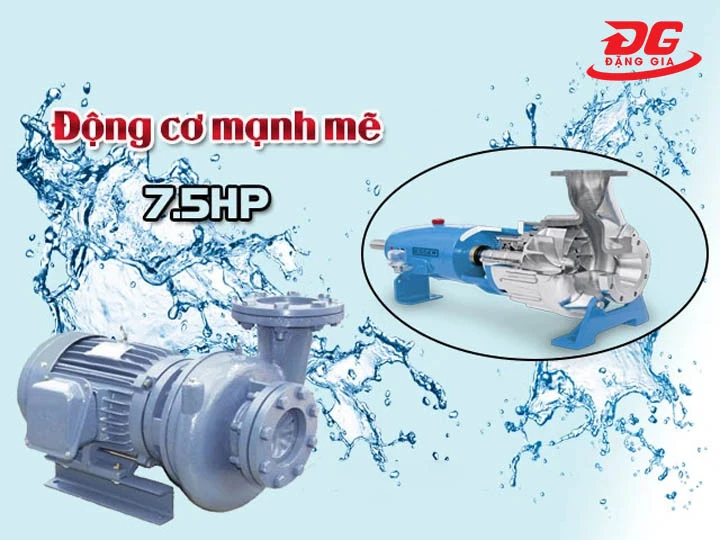 motor Máy bơm nước inox TECO HVS3100-15.5 40 7.5HP khỏe