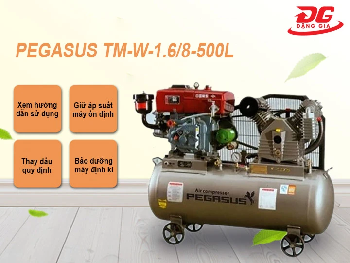 lưu ý khi dùng Máy nén hơi Pegasus TM-W-1.6/8-500L