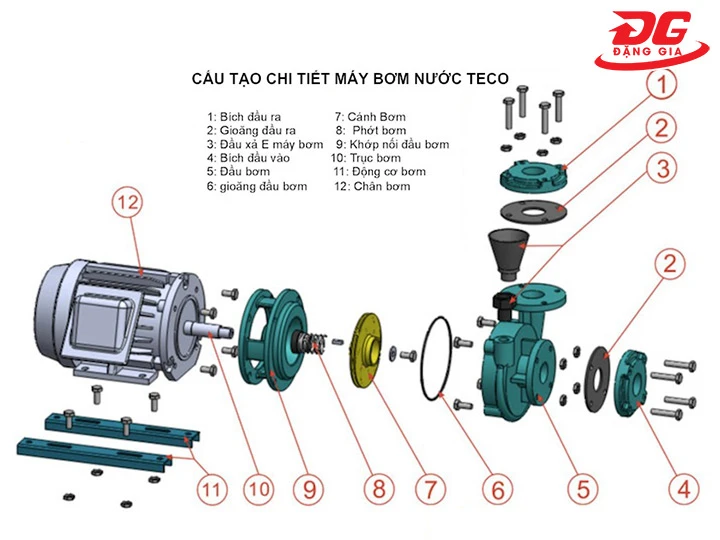Cấu tạo của máy bơm nước Teco 25HP HVP3100-119
