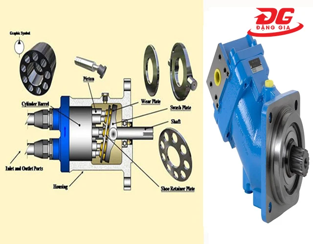 Cấu tạo đặc trưng