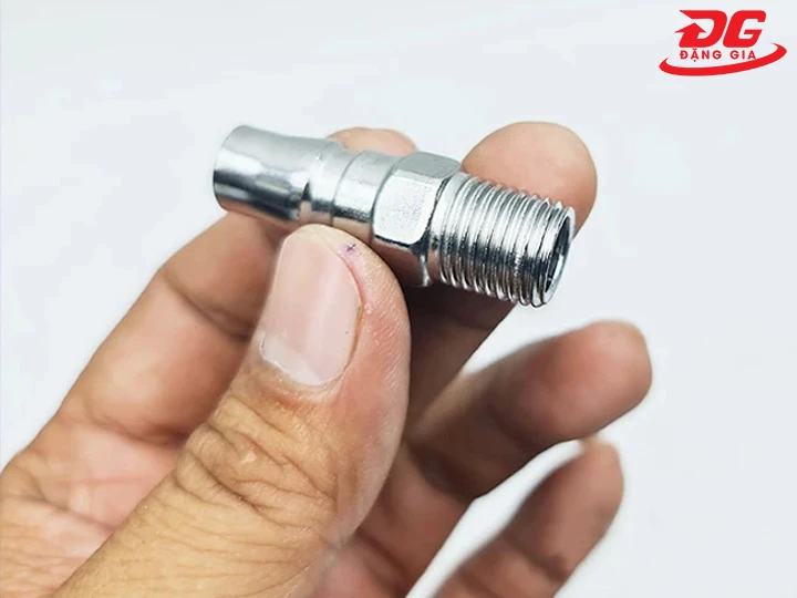 Cút nối nhanh đầu đực gen ngoài bền bỉ