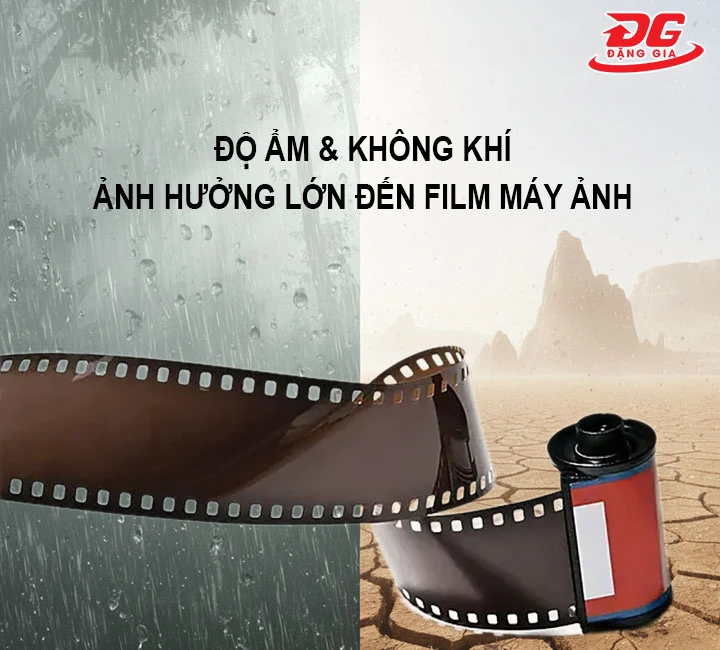 độ ẩm ảnh hưởng lớn đến film máy ảnh