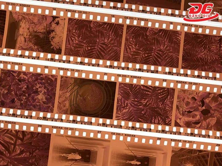 film máy ảnh