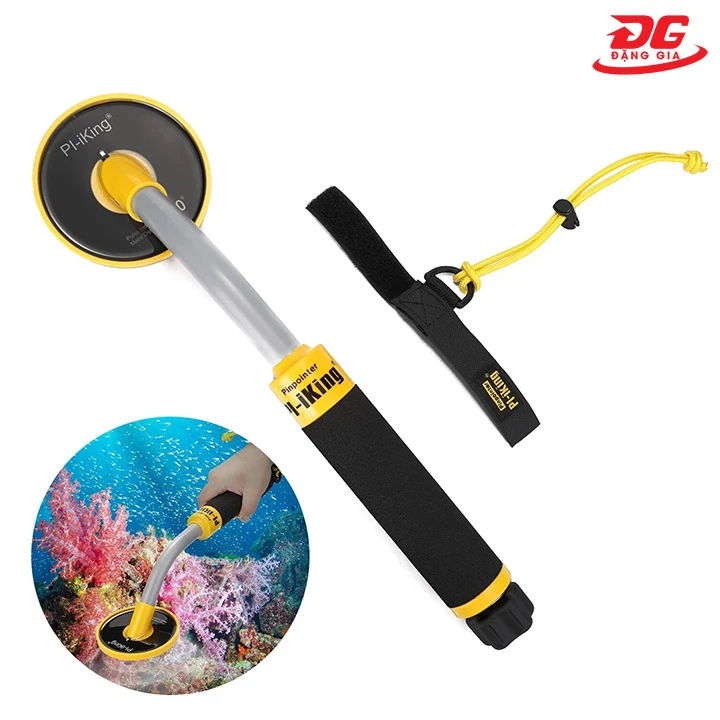 Máy phát hiện đồ cổ công nghệ PI