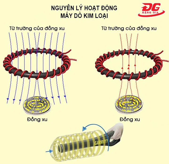 Nguyên lý vận hành của máy dò kim loại