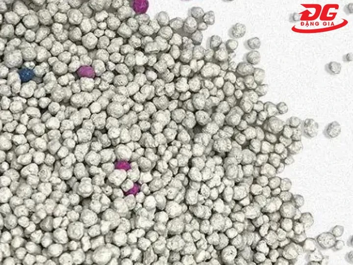 cách hút ẩm trong phòng cát vệ sinh mèo