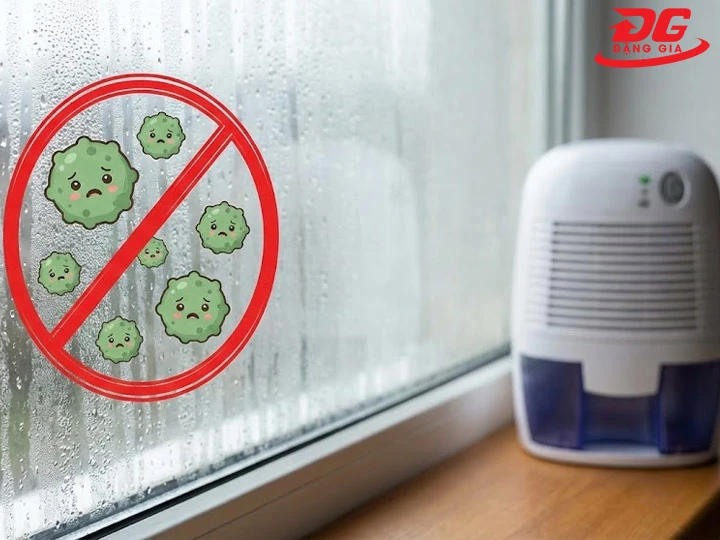 Lợi ích cách hút ẩm trong phòng kín