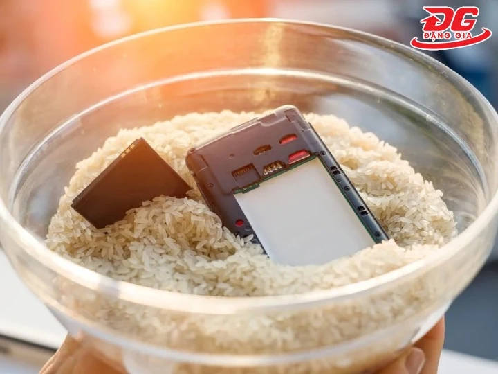 hút ẩm điện thoại bằng gạo