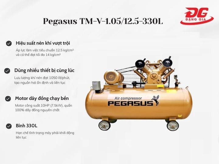 máy nén khí Pegasus TM-V-1.05/12.5-330L