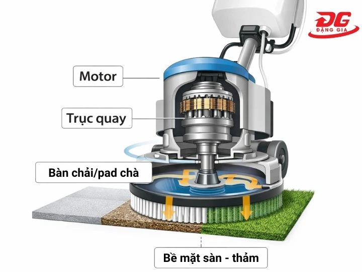 cấu tạo Máy chà sàn - thảm công nghiệp Supper Clean SC 175