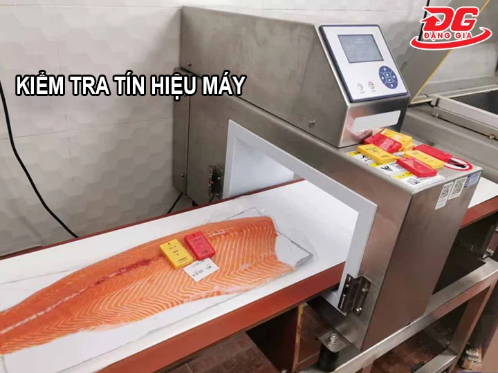 kiểm tra tín hiệu của máy dò kim loại