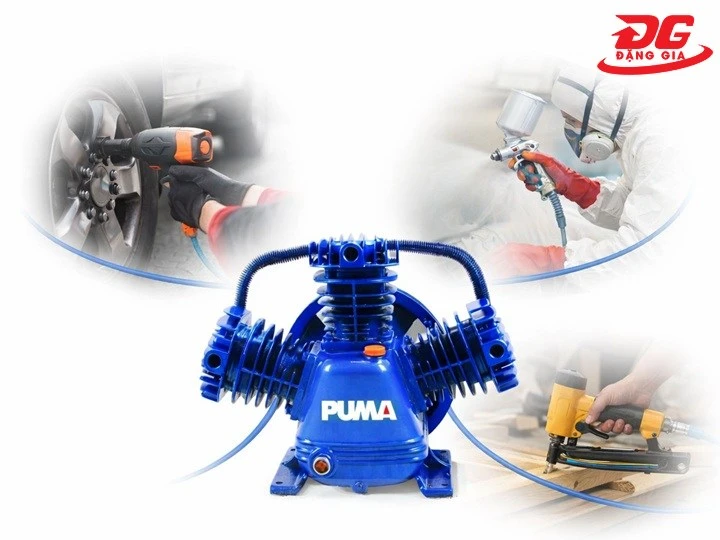 đầu máy nén khí Puma PX3120