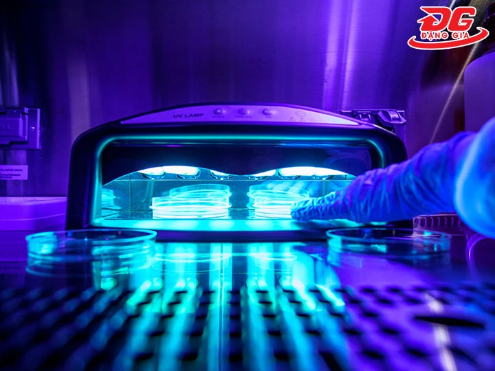 diệt nấm mốc bằng tia UV
