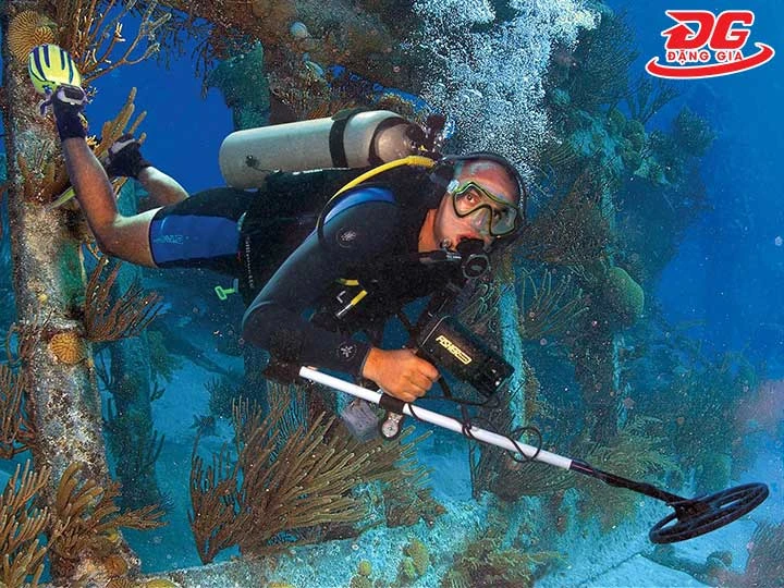 máy dò kim loại 1280-X Fisher chống nước tốt