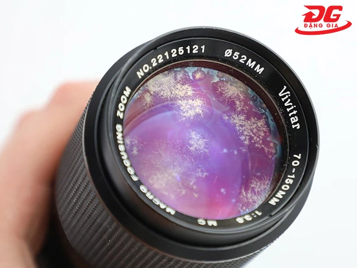 Lens ảnh bị mốc