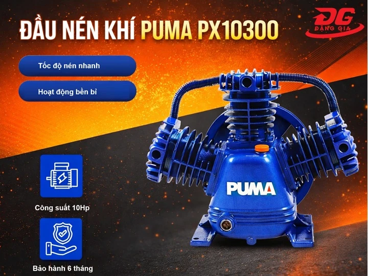 Đầu nén khí Puma PX10300 (10HP) tại Đặng Gia