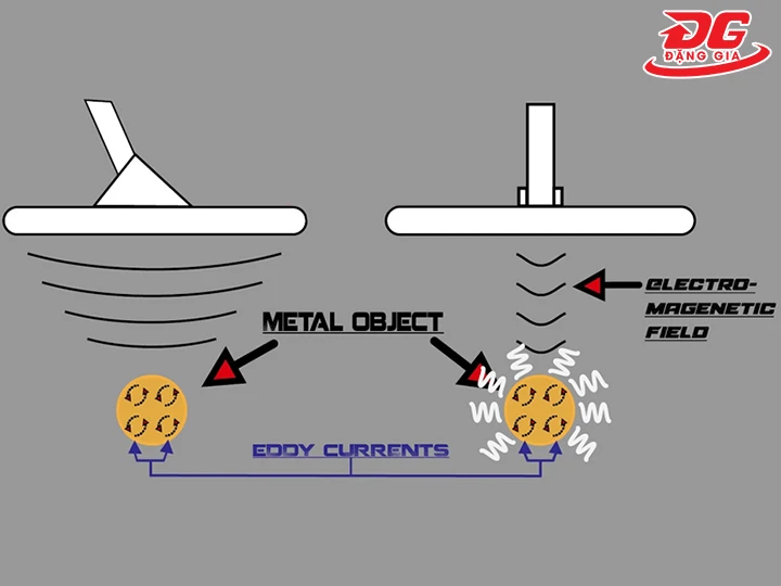 nguyên lý hoạt động của máy dò vàng GB2 Fisher