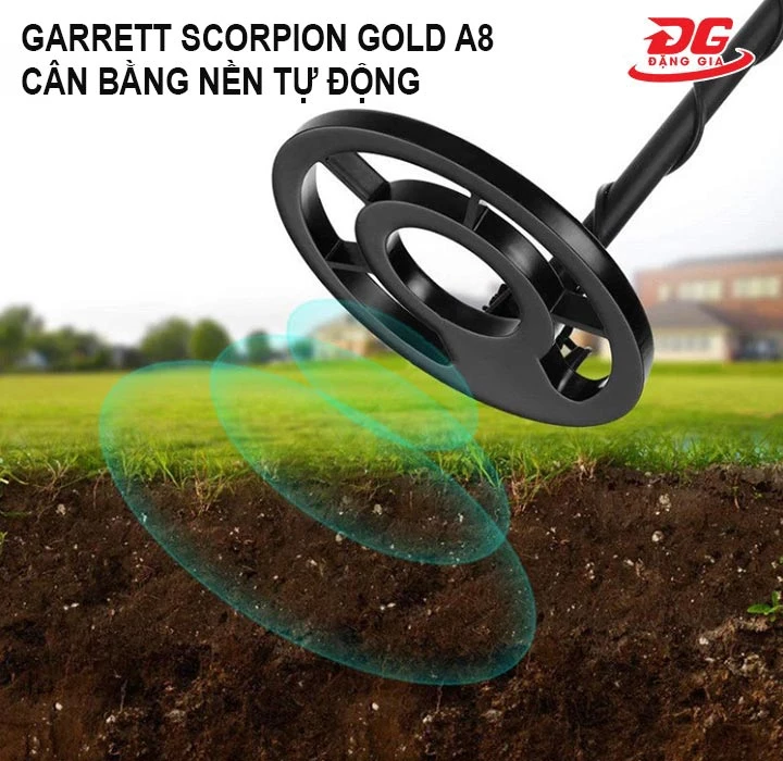 Garrett Scorpion Gold A8 cân bằng mặt đất nhanh