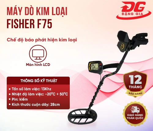 Máy dò kim loại cao cấp siêu nhạy Fisher F75 2