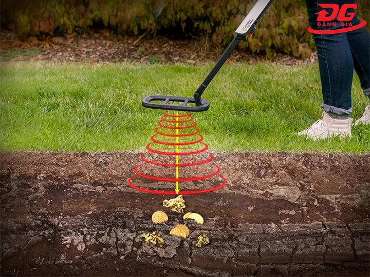 Khả năng phân biệt kim loại