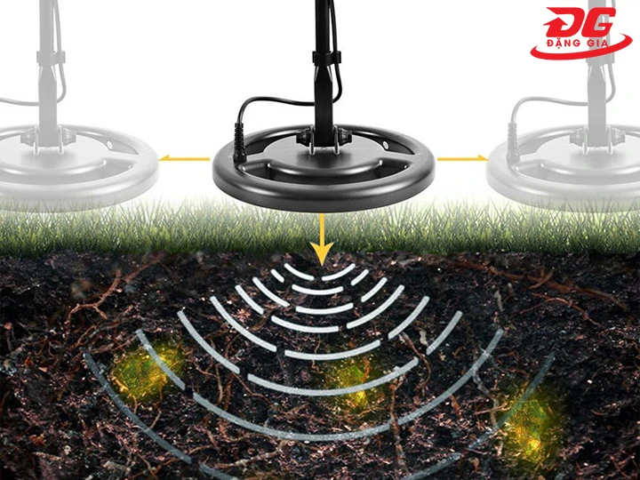 độ nhạy với vàng