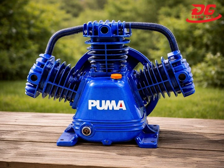 đầu nén khí Puma PX15300 (15HP) thiết kế di động