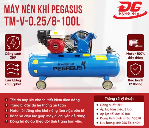 Máy nén khí đầu nổ chạy xăng Pegasus TM-V-0.25/8-100L 2