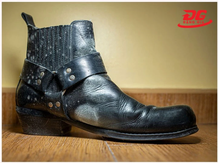 Cách chống mốc cho giày da chuyên nghiệp