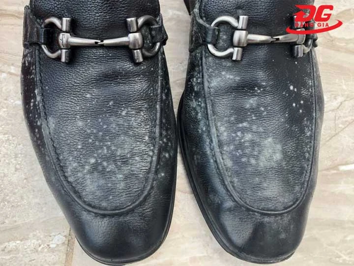 Nhận biết sớm dấu hiệu giày da bị mốc