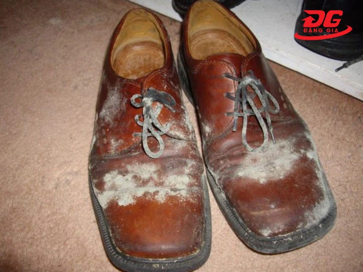 Giày ít sử dụng