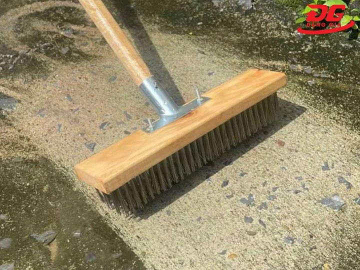 tẩy rêu trên nền xi măng bằng bàn chải