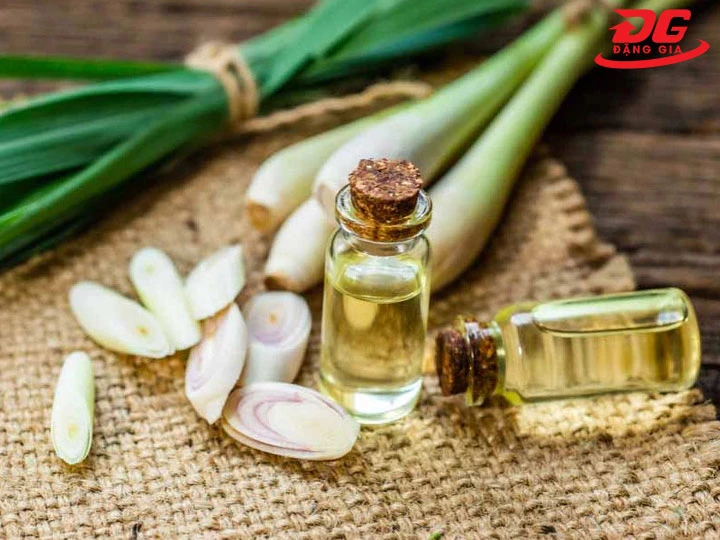 tự làm nước lau sàn nhà đuổi muỗi tại nhà bằng tinh dầu sả và giấm