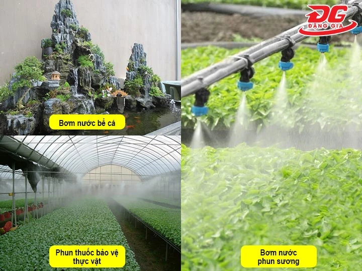  Ứng dụng của máy bơm 12V trong nông nghiệp