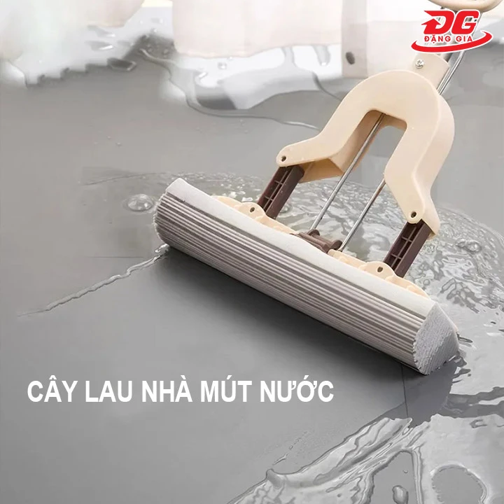 Cây lau nhà mút nước