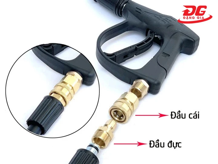 dầu cái, đầu đực